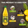 2 Pack 100% Lemon Juice Freshly Squeezed NO Added Water 33.8oz Not From Concentrate - Appx 40 Freshly Squeezed Lemons in Each Bottle - Kosher Food - Kosher Select Supply