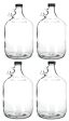 4 Glass Water Bottle, Includes 38 mm Polyseal Cap, 1 gal Capacity (Pack of 4) Online Sale